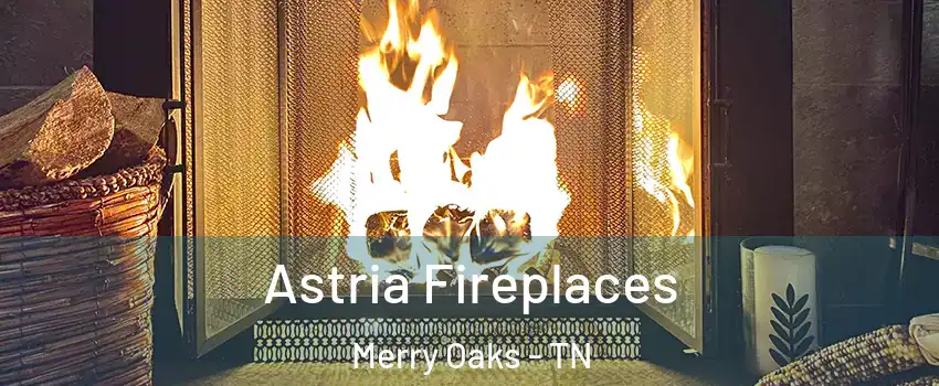 Astria Fireplaces Merry Oaks - TN