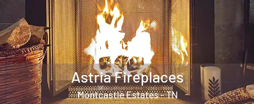 Astria Fireplaces Montcastle Estates - TN