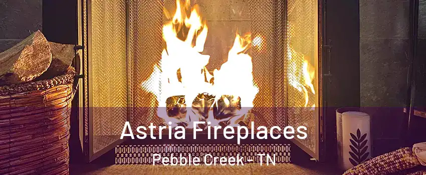 Astria Fireplaces Pebble Creek - TN