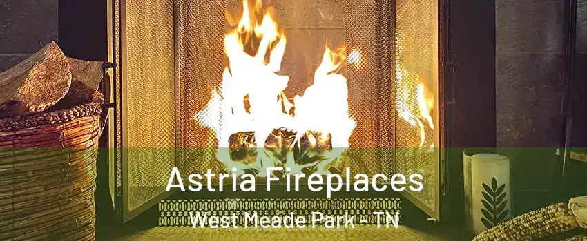 Astria Fireplaces West Meade Park - TN