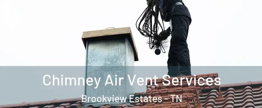 Chimney Air Vent Services Brookview Estates - TN