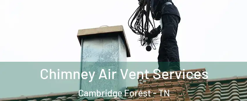 Chimney Air Vent Services Cambridge Forest - TN