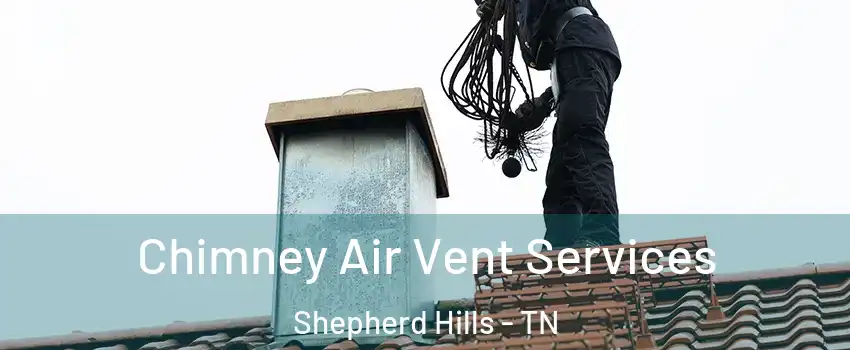 Chimney Air Vent Services Shepherd Hills - TN