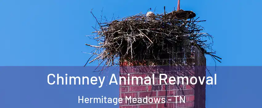 Chimney Animal Removal Hermitage Meadows - TN