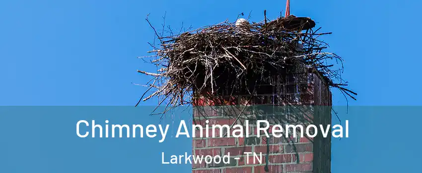 Chimney Animal Removal Larkwood - TN