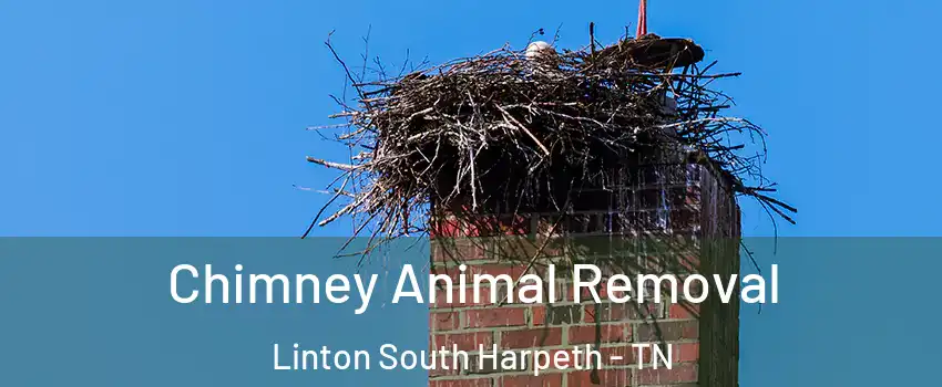 Chimney Animal Removal Linton South Harpeth - TN