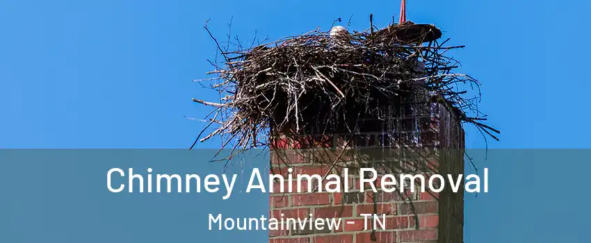 Chimney Animal Removal Mountainview - TN