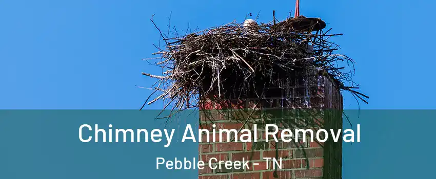 Chimney Animal Removal Pebble Creek - TN