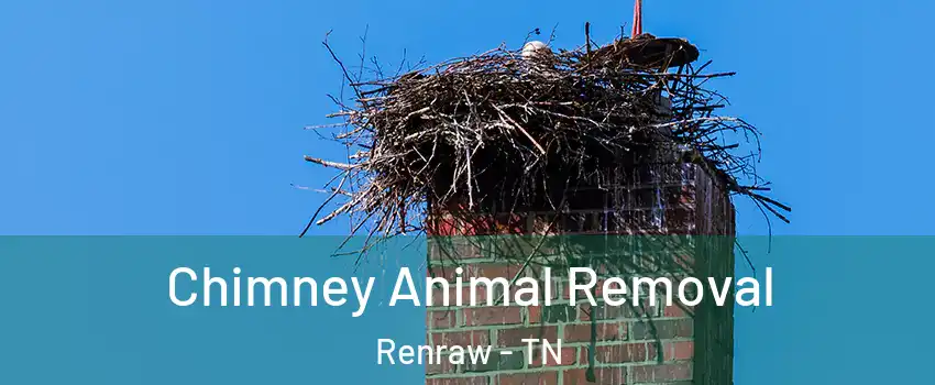 Chimney Animal Removal Renraw - TN