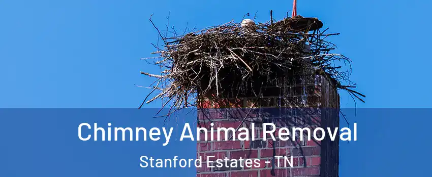 Chimney Animal Removal Stanford Estates - TN