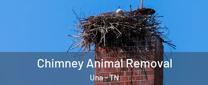 Chimney Animal Removal Una - TN