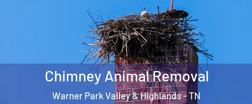 Chimney Animal Removal Warner Park Valley & Highlands - TN