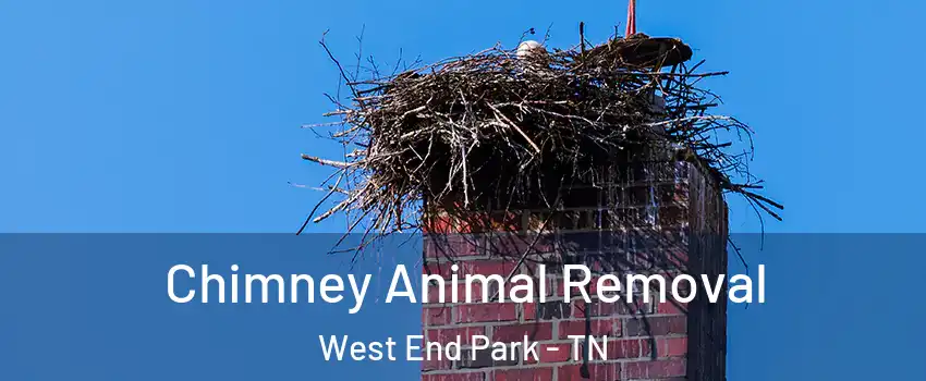 Chimney Animal Removal West End Park - TN