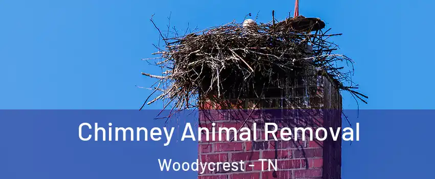 Chimney Animal Removal Woodycrest - TN