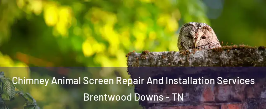 Chimney Animal Screen Repair And Installation Services Brentwood Downs - TN