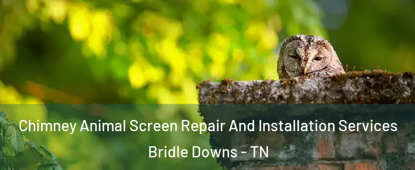 Chimney Animal Screen Repair And Installation Services Bridle Downs - TN