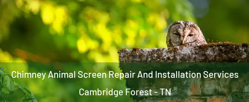 Chimney Animal Screen Repair And Installation Services Cambridge Forest - TN