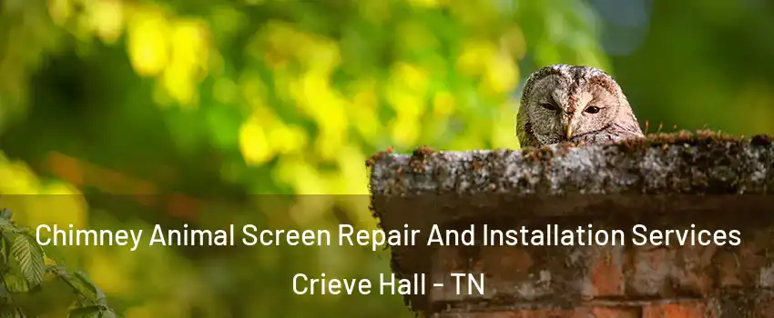 Chimney Animal Screen Repair And Installation Services Crieve Hall - TN