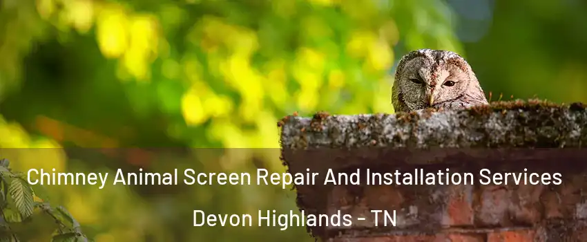 Chimney Animal Screen Repair And Installation Services Devon Highlands - TN