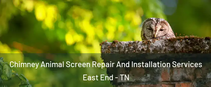 Chimney Animal Screen Repair And Installation Services East End - TN