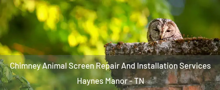 Chimney Animal Screen Repair And Installation Services Haynes Manor - TN