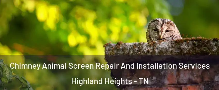 Chimney Animal Screen Repair And Installation Services Highland Heights - TN