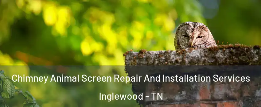 Chimney Animal Screen Repair And Installation Services Inglewood - TN