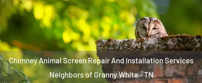 Chimney Animal Screen Repair And Installation Services Neighbors of Granny White - TN