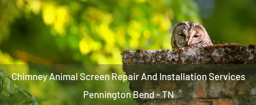 Chimney Animal Screen Repair And Installation Services Pennington Bend - TN