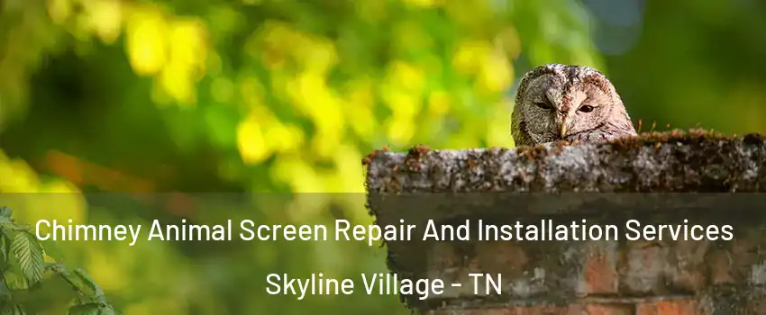 Chimney Animal Screen Repair And Installation Services Skyline Village - TN