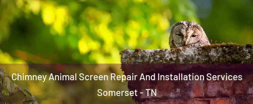 Chimney Animal Screen Repair And Installation Services Somerset - TN