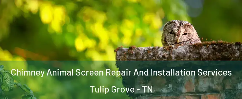 Chimney Animal Screen Repair And Installation Services Tulip Grove - TN