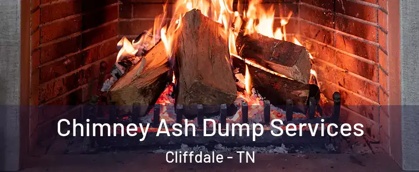 Chimney Ash Dump Services Cliffdale - TN