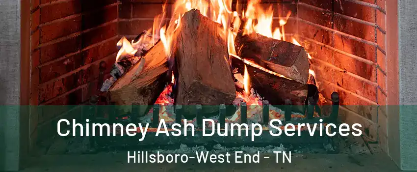 Chimney Ash Dump Services Hillsboro-West End - TN