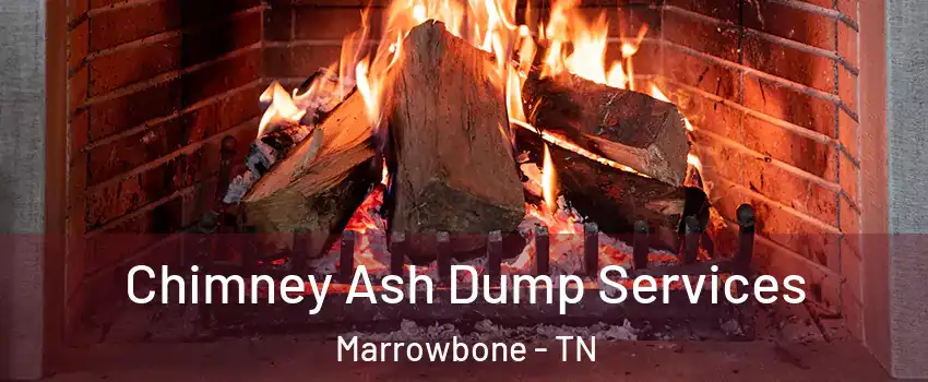 Chimney Ash Dump Services Marrowbone - TN