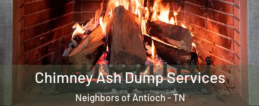 Chimney Ash Dump Services Neighbors of Antioch - TN