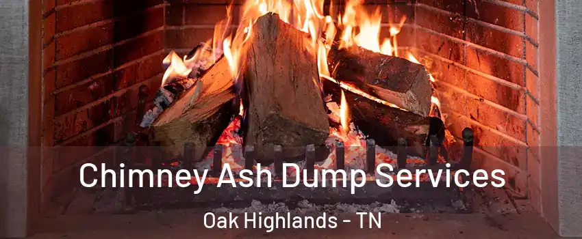 Chimney Ash Dump Services Oak Highlands - TN