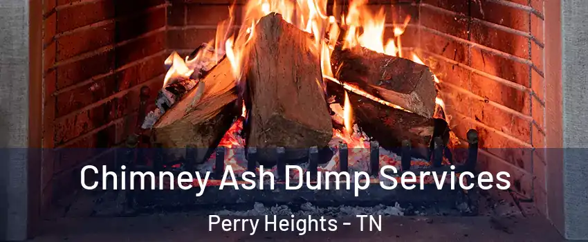 Chimney Ash Dump Services Perry Heights - TN