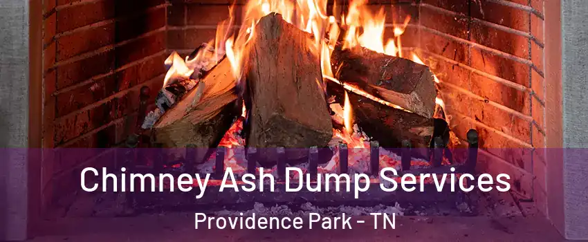 Chimney Ash Dump Services Providence Park - TN