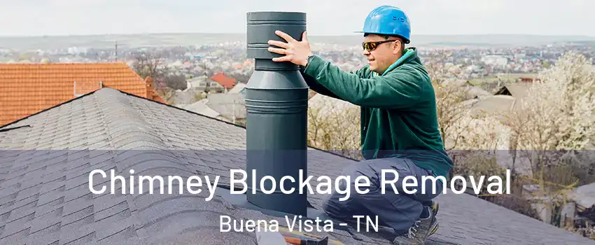 Chimney Blockage Removal Buena Vista - TN