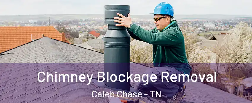 Chimney Blockage Removal Caleb Chase - TN