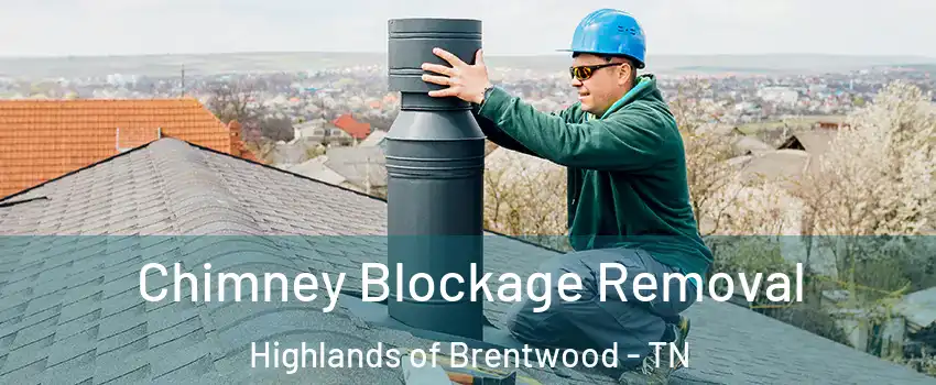 Chimney Blockage Removal Highlands of Brentwood - TN