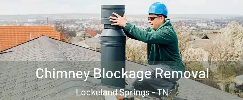 Chimney Blockage Removal Lockeland Springs - TN