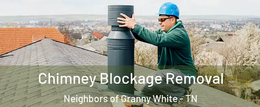 Chimney Blockage Removal Neighbors of Granny White - TN