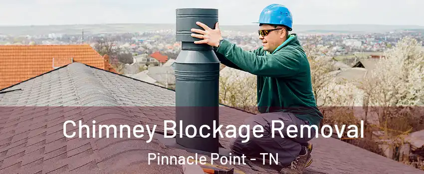 Chimney Blockage Removal Pinnacle Point - TN