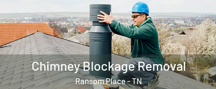 Chimney Blockage Removal Ransom Place - TN