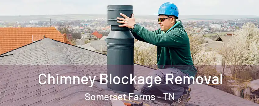 Chimney Blockage Removal Somerset Farms - TN