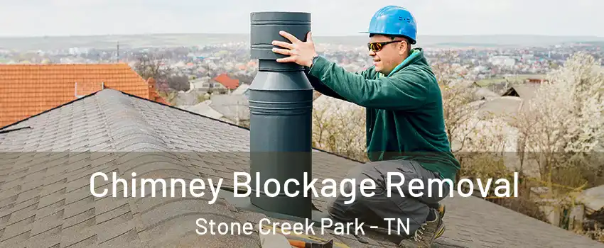 Chimney Blockage Removal Stone Creek Park - TN