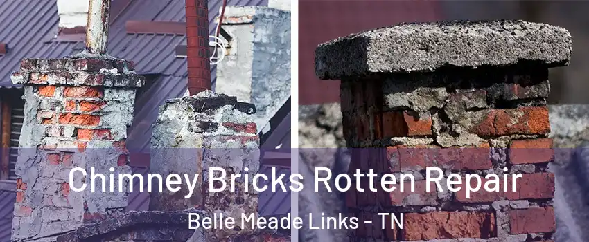 Chimney Bricks Rotten Repair Belle Meade Links - TN