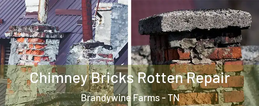 Chimney Bricks Rotten Repair Brandywine Farms - TN